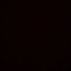 Meet your Posher, Ava